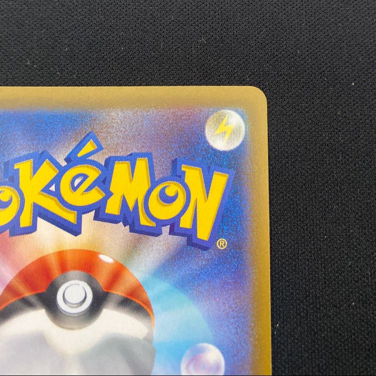 スグリ SAR 230/187 1枚