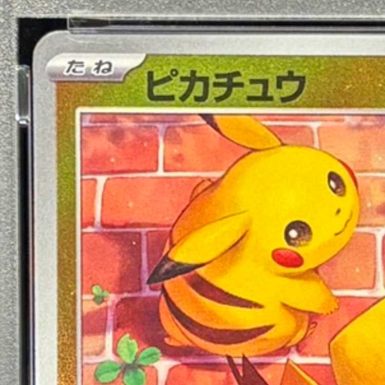 ピカチュウ　プロモ　PSA10 SV-P216 PSA10】ピカチュウ PROMO 216/SV-P 1枚 (Used) （841028385）| magi