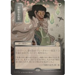 (シルバースクロールFOIL)(日限定イラスト)垣間見る自然/Glimpse of Nature《日本語》【SOA】 1枚