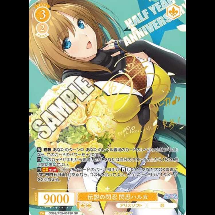 【新品未開封シュリンク付き】ヴァイスシュヴァルツロゼ アリスソフト 3BOX 3BOX