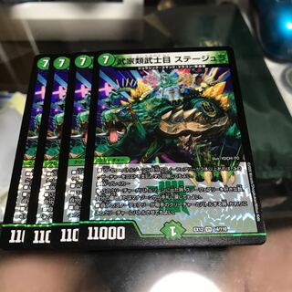 武家類武士目 ステージュラ