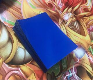 フォーラムスリーブ 青