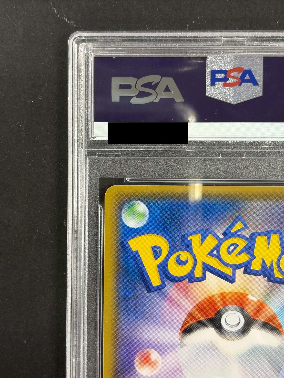 〔PSA10鑑定済〕アローラの仲間たち(SR仕様)【P】{401/SM-P} 1枚