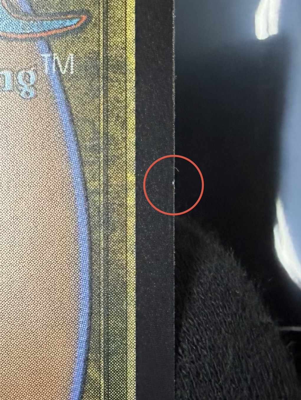 (シルバースクロールFOIL)(日限定イラスト)意志の力/Force of Will《日本語》【SOA】 1枚