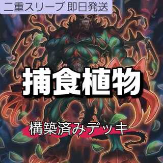 山屋　即日発送　捕食植物デッキ　覇王暴竜スターヴ・ヴェノム・ウィング・ドラゴン 捕食植物オフリス・スコーピオ 超逸融合 捕食植物デェアデビル　クリスタルウィング・シンクロ・ドラゴン 黒薔薇の破滅竜  1枚