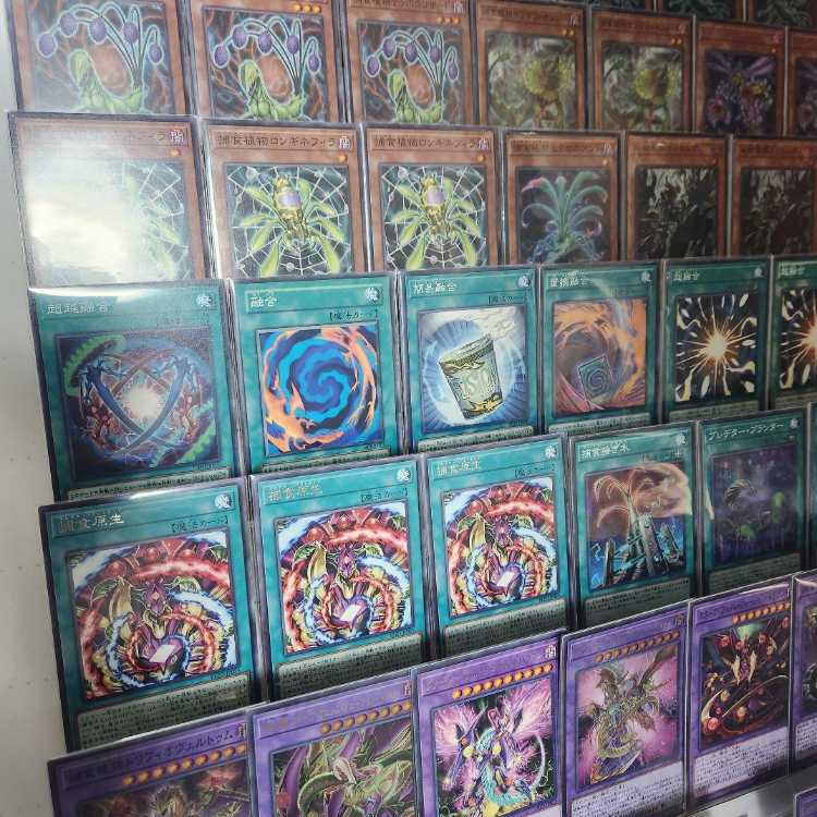 山屋　即日発送　捕食植物デッキ　覇王暴竜スターヴ・ヴェノム・ウィング・ドラゴン 捕食植物オフリス・スコーピオ 超逸融合 捕食植物デェアデビル　クリスタルウィング・シンクロ・ドラゴン 黒薔薇の破滅竜  1枚