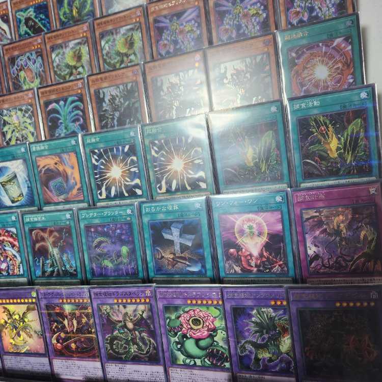 山屋　即日発送　捕食植物デッキ　覇王暴竜スターヴ・ヴェノム・ウィング・ドラゴン 捕食植物オフリス・スコーピオ 超逸融合 捕食植物デェアデビル　クリスタルウィング・シンクロ・ドラゴン 黒薔薇の破滅竜  1枚