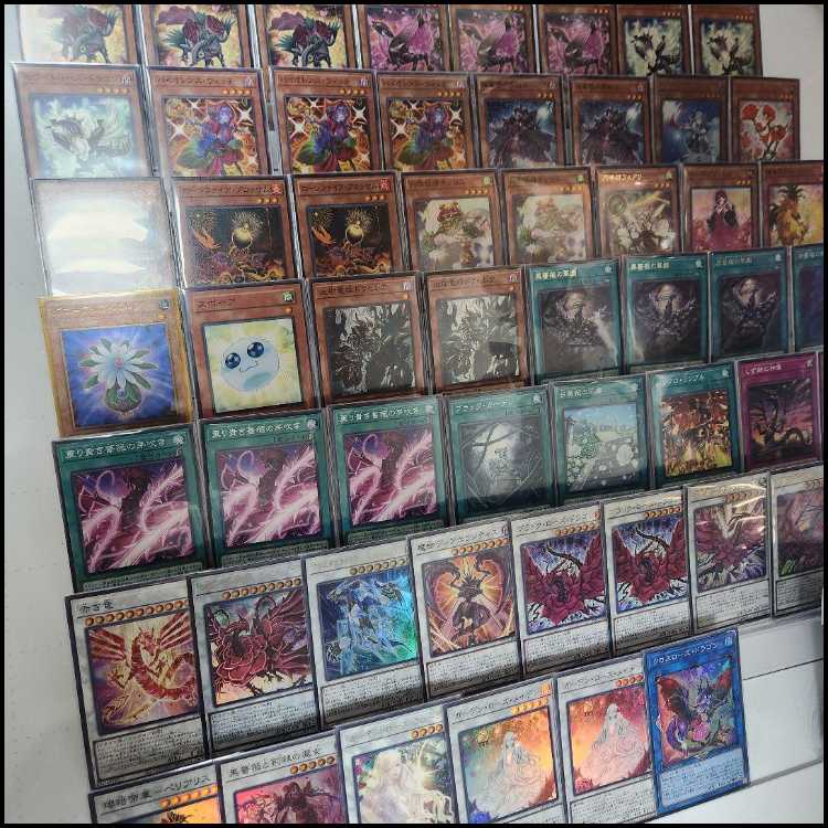 即日発送　ローズ・ドラゴンデッキ　構築済みデッキ　山屋　レッドローズ・ドラゴン　ロクスローズ・ドラゴン　黒薔薇の破滅竜　黒薔薇と荊棘の魔女　黒薔薇の華園 血樹竜姫ドラセレア 1枚