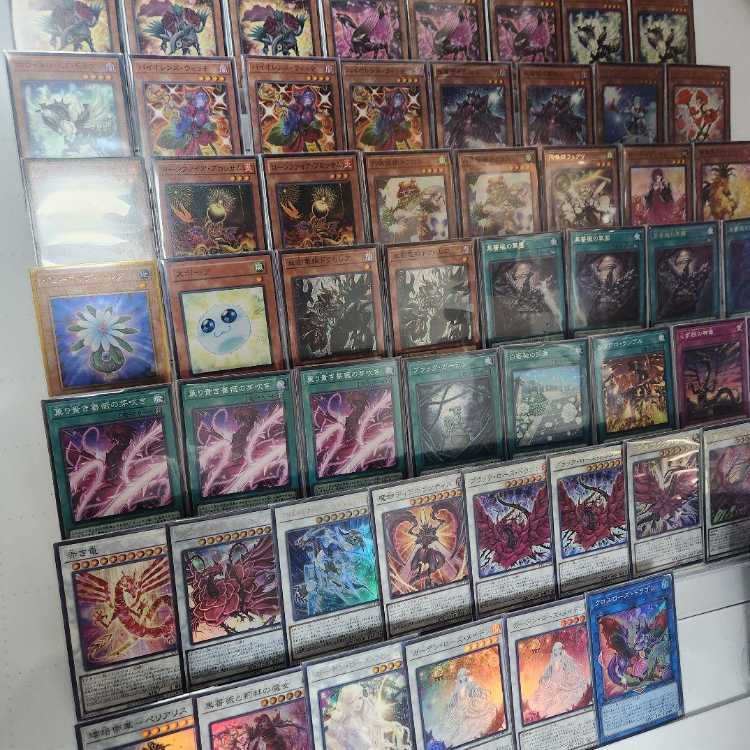 即日発送　ローズ・ドラゴンデッキ　構築済みデッキ　山屋　レッドローズ・ドラゴン　ロクスローズ・ドラゴン　黒薔薇の破滅竜　黒薔薇と荊棘の魔女　黒薔薇の華園 血樹竜姫ドラ ブラック・ローズ・ドラゴン／バスターセレア  1枚