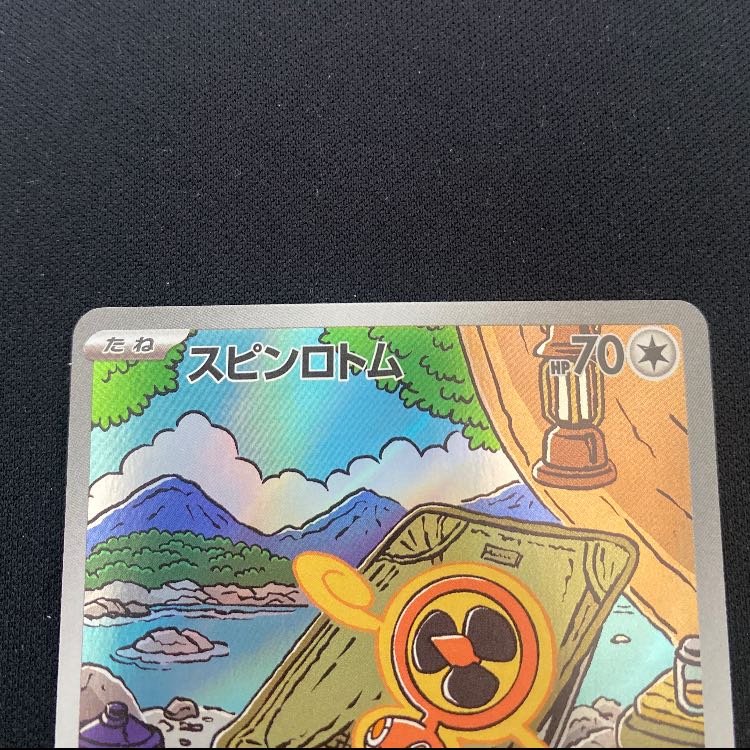 スピンロトム AR 213/193 1枚