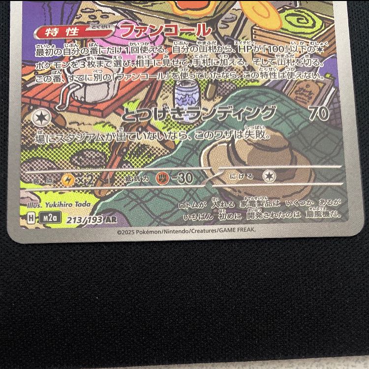 スピンロトム AR 213/193 1枚