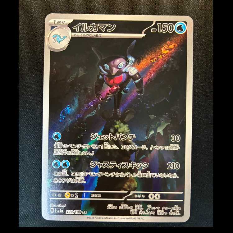 ＃イルカマン AR 339/190 1枚