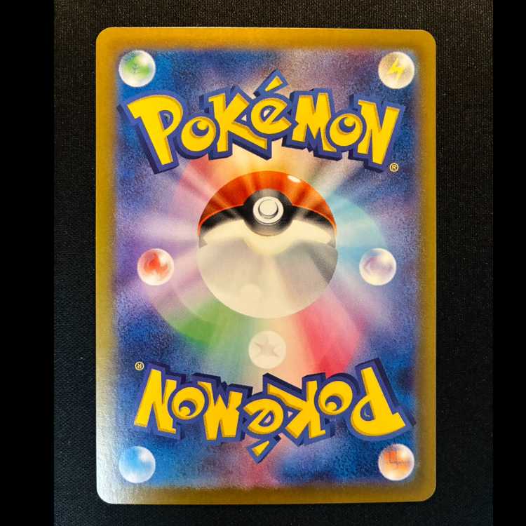 ＃イルカマン AR 339/190 1枚