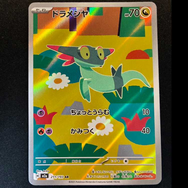 ＃ドラメシヤ AR 211/193 1枚