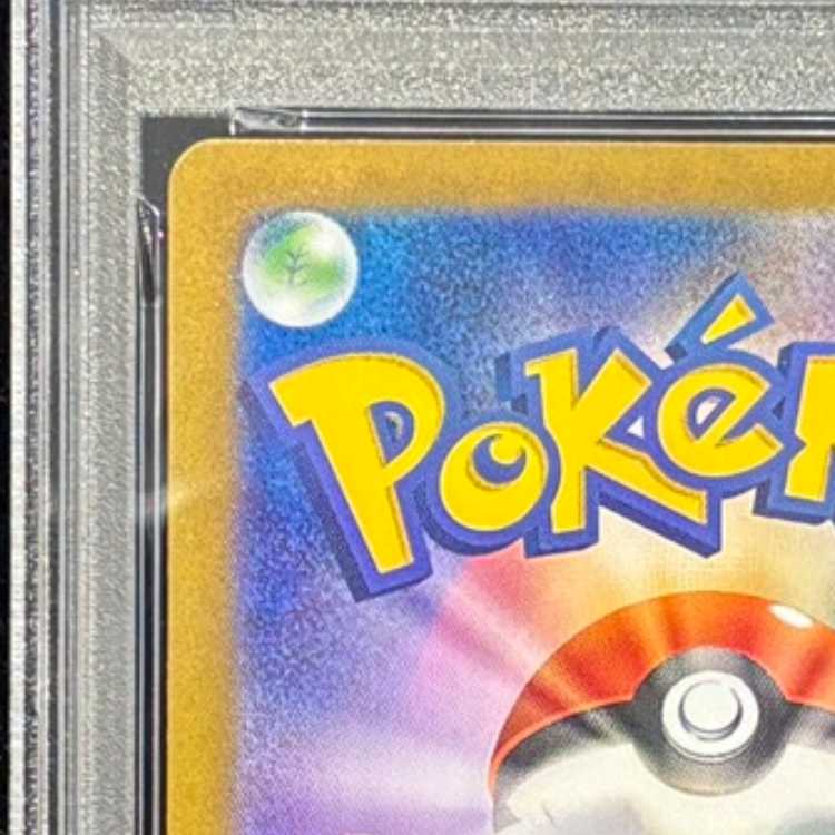 【PSA10】カメックスex SAR 202/165 1枚