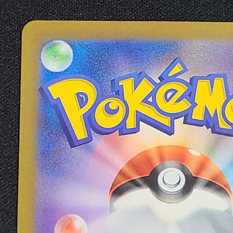 プクリンex SSR 336/190 1枚