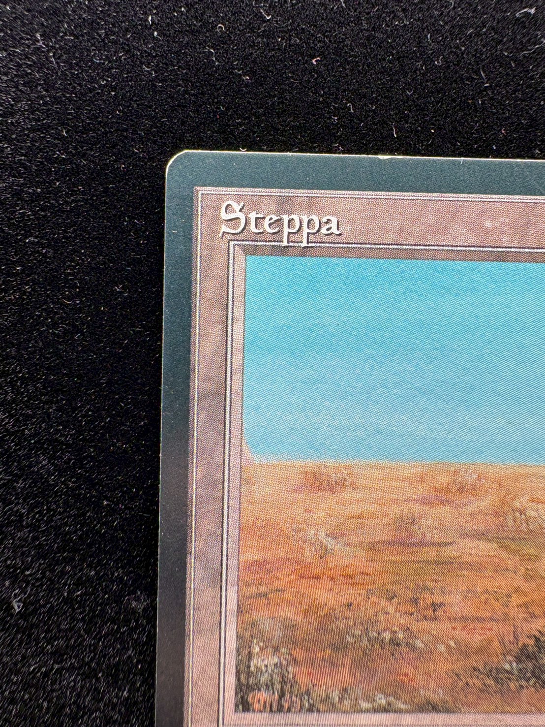 [EX]Scrubland《イタリア語》【3ED(FBB)】#310 1枚