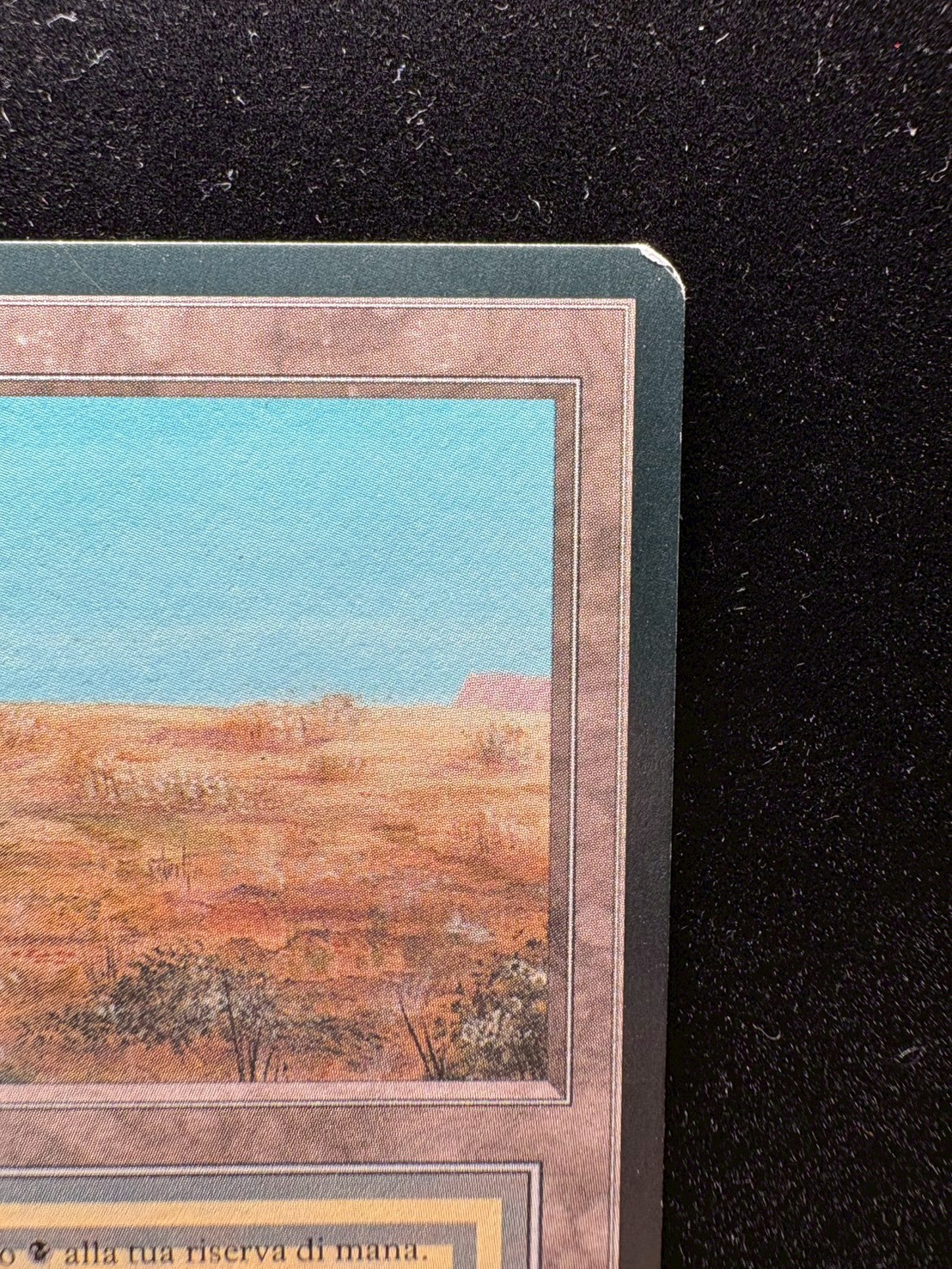 [EX]Scrubland《イタリア語》【3ED(FBB)】#310 1枚