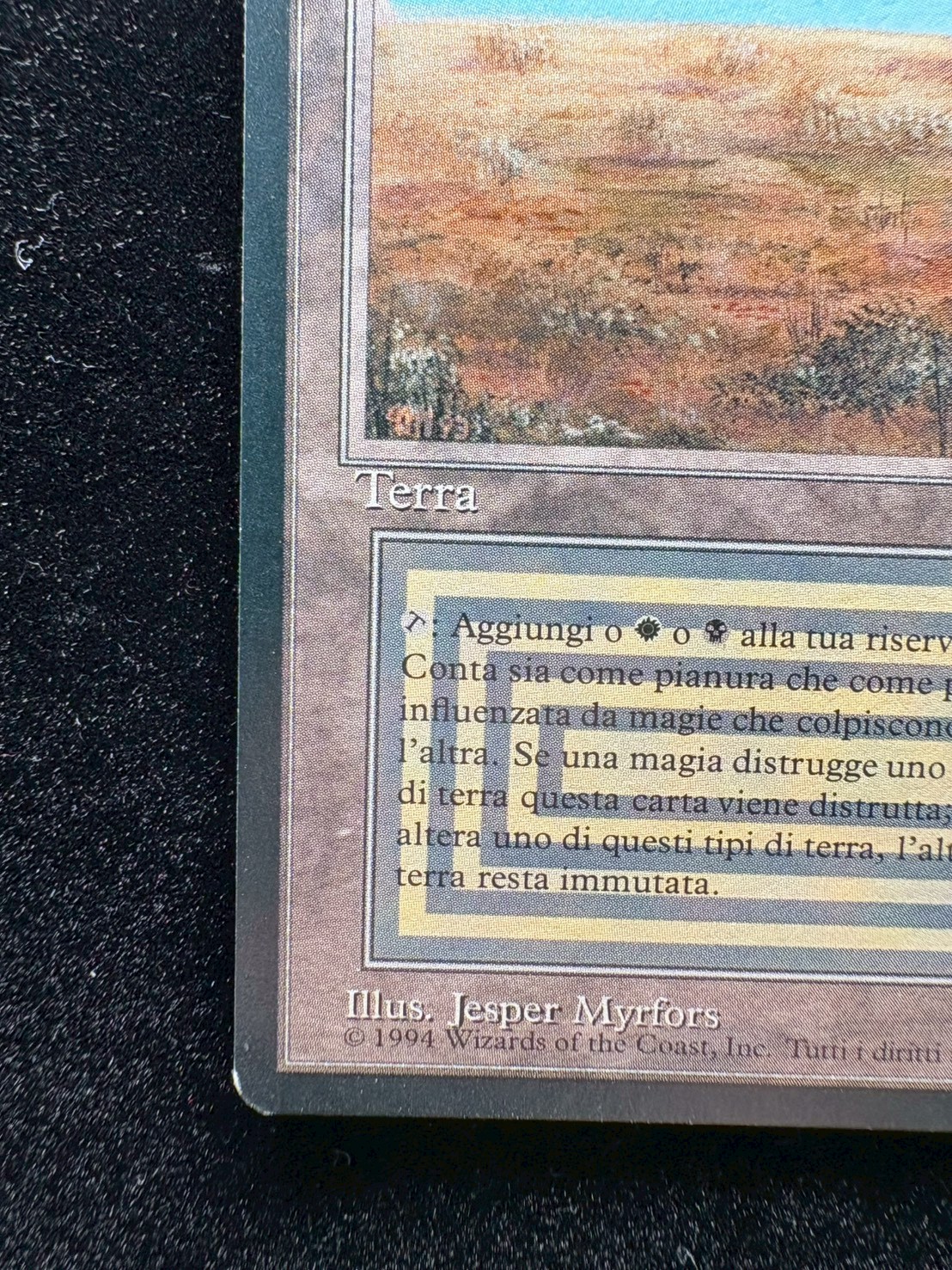 [EX]Scrubland《イタリア語》【3ED(FBB)】#310 1枚