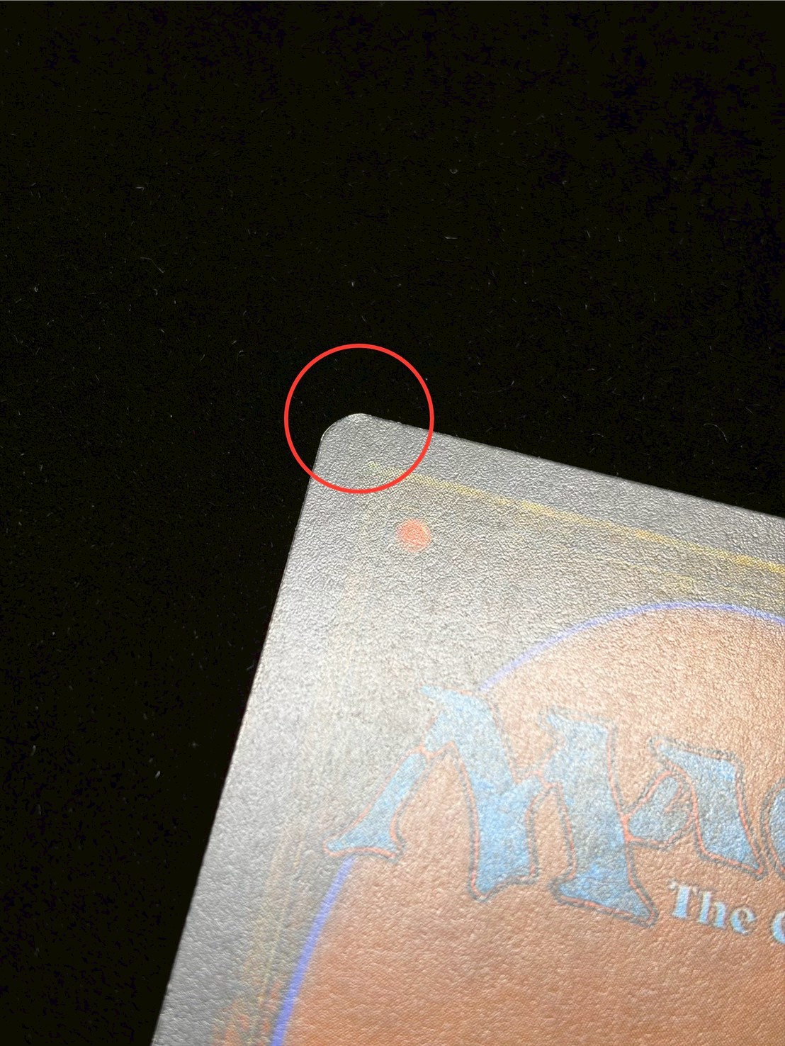 [EX]Eureka《イタリア語》【LEG】#307 1枚