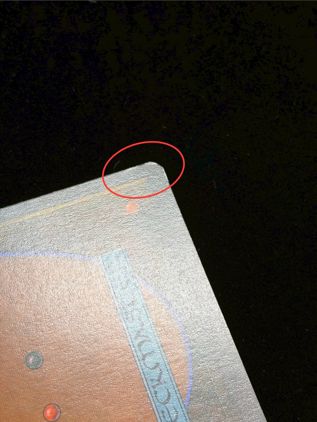 [EX]Eureka《イタリア語》【LEG】#307 1枚