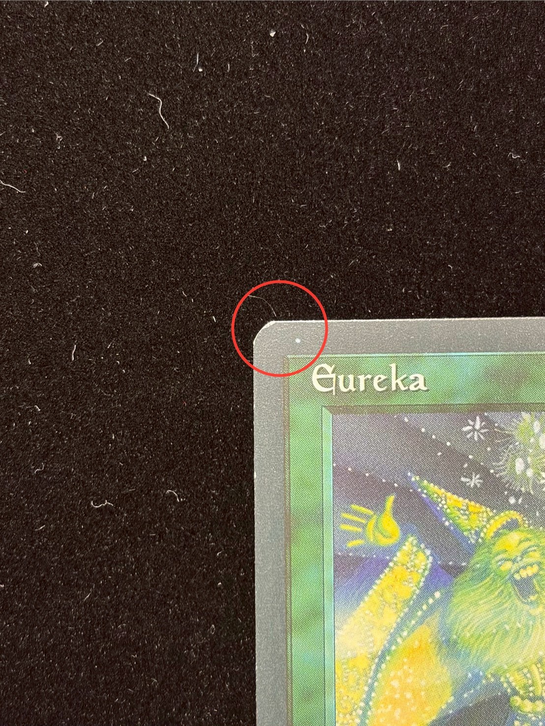 [EX+]Eureka《イタリア語》【LEG】#305 1枚