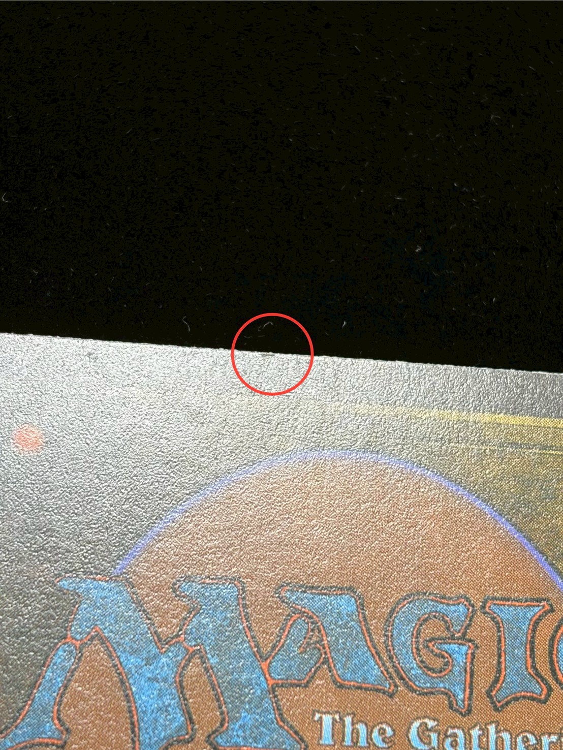 [EX+]Eureka《イタリア語》【LEG】#304 1枚