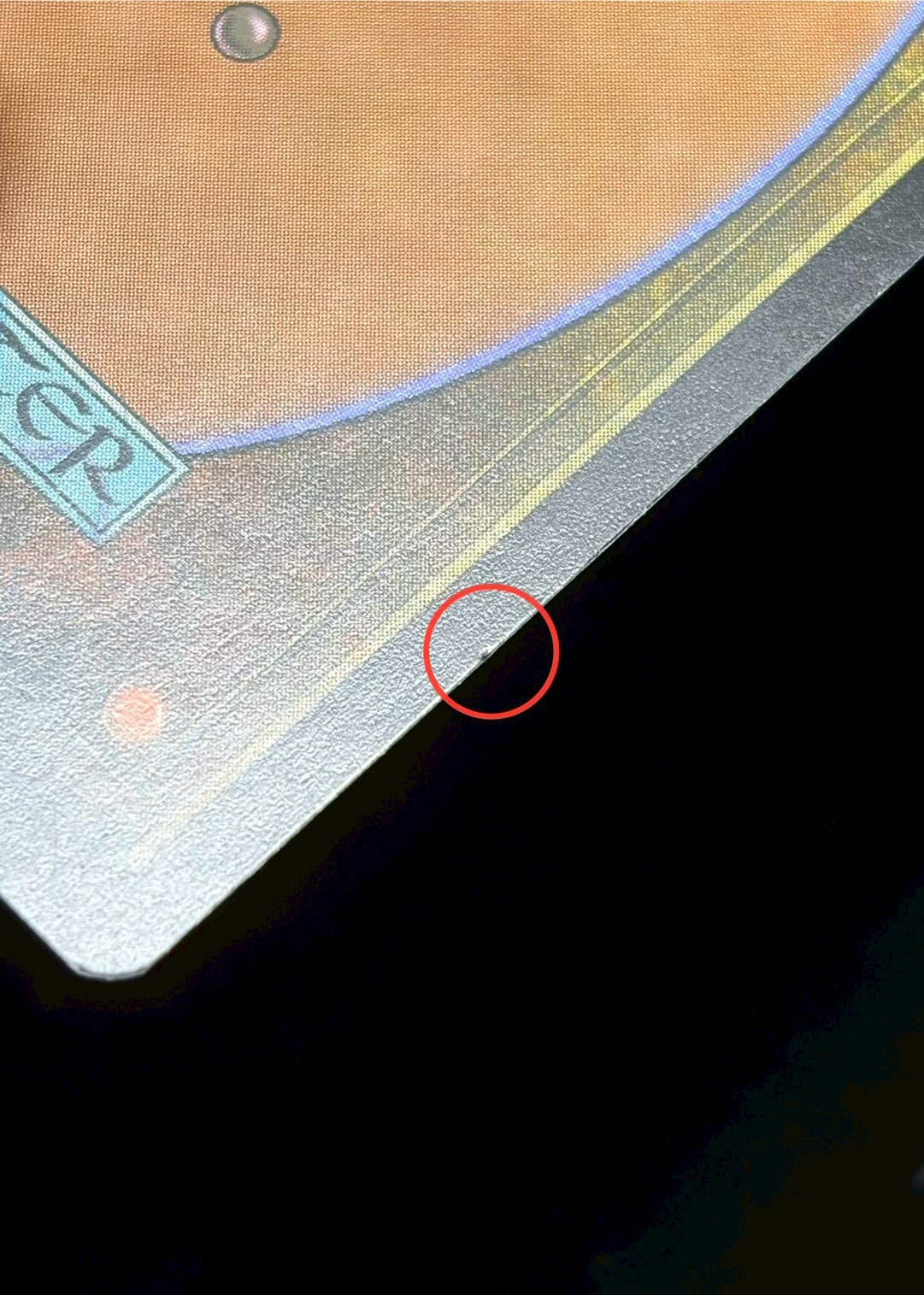 [EX]沼/Swamp《英語》【Guru Lands】#303 1枚