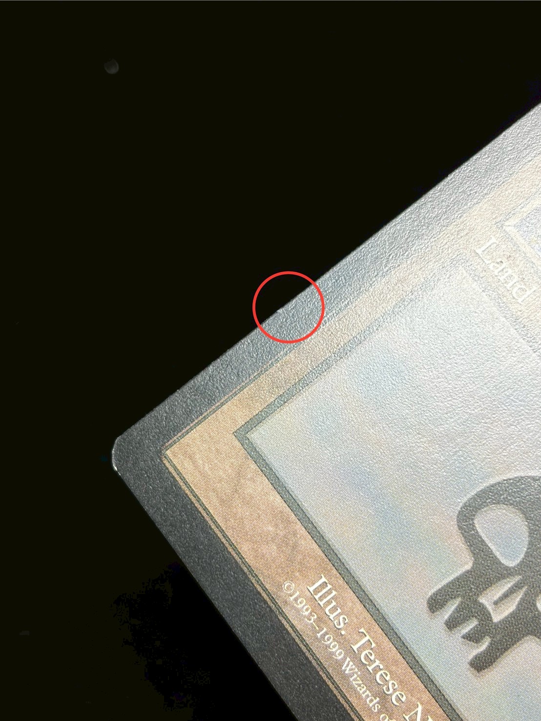 [EX]沼/Swamp《英語》【Guru Lands】#303 1枚