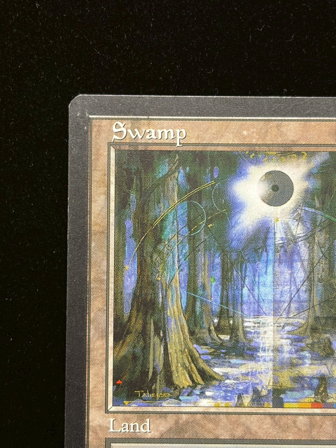 [EX]沼/Swamp《英語》【Guru Lands】#303 1枚