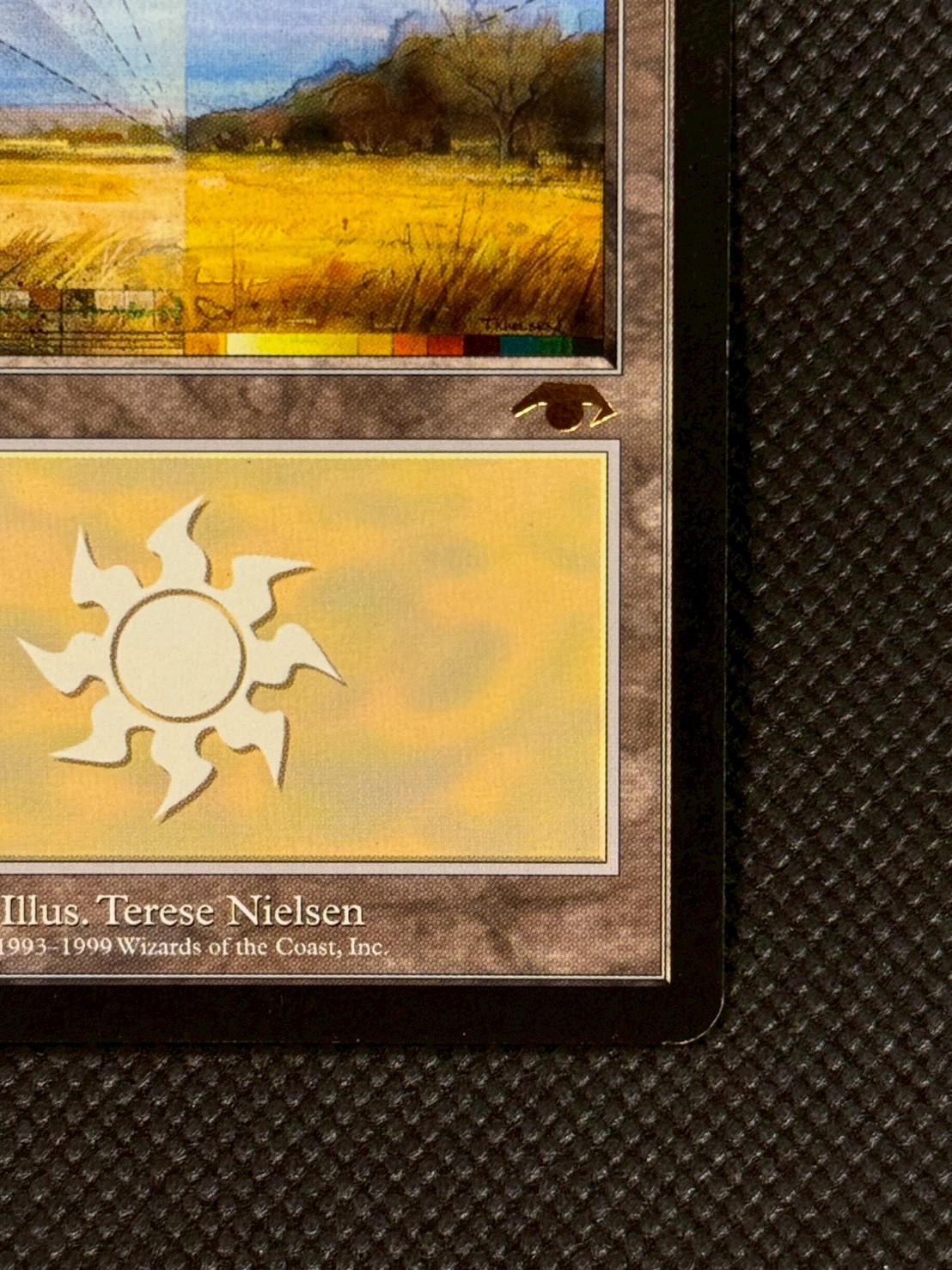 [EX]平地/Plains《英語》【Guru Lands】#302 1枚