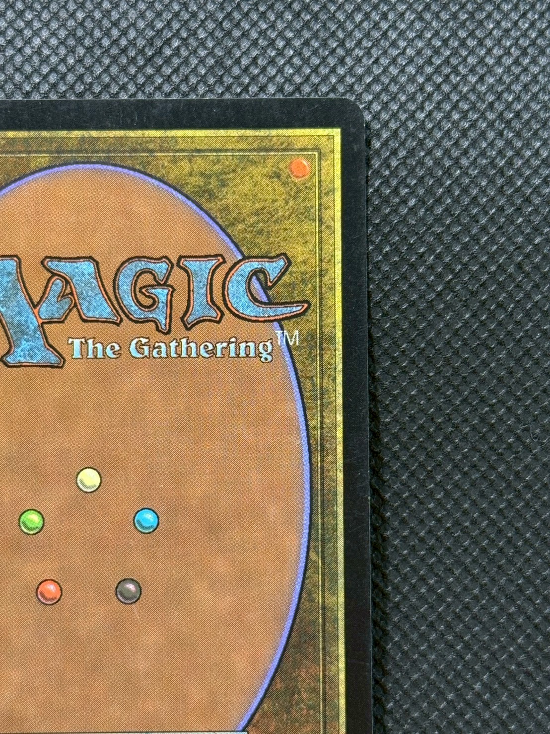 [EX]平地/Plains《英語》【Guru Lands】#302 1枚