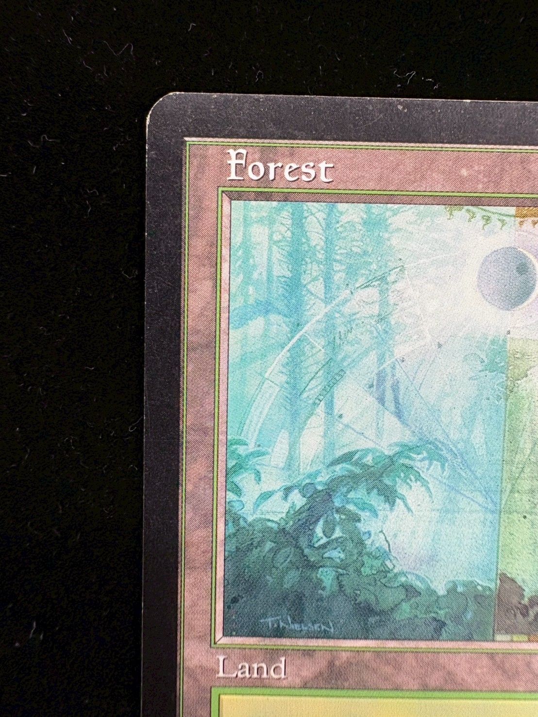 [HPLD]森/Forest《英語》【Guru Lands】#301 1枚