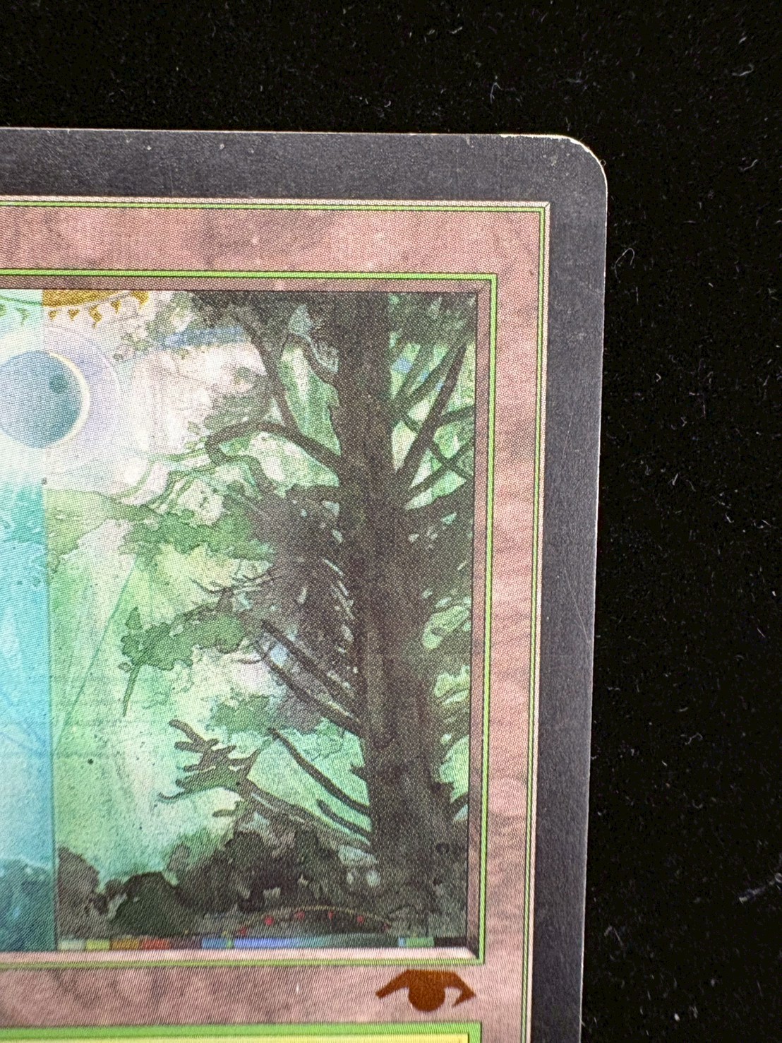 [HPLD]森/Forest《英語》【Guru Lands】#301 1枚