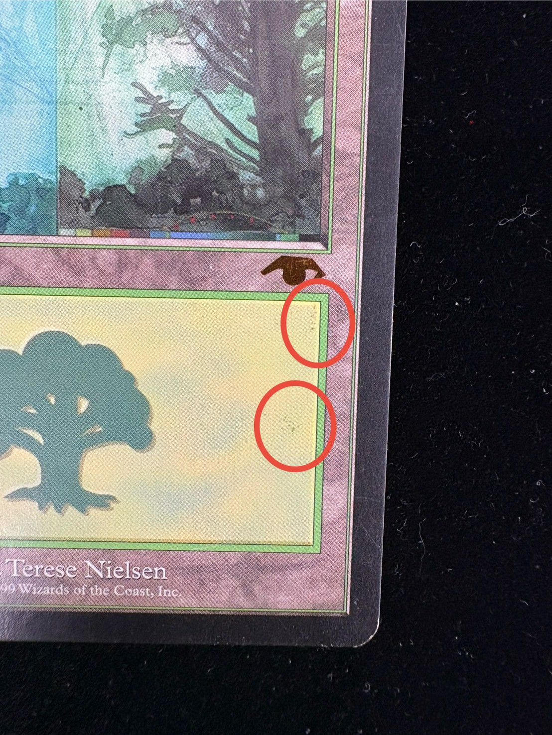 [HPLD]森/Forest《英語》【Guru Lands】#301 1枚