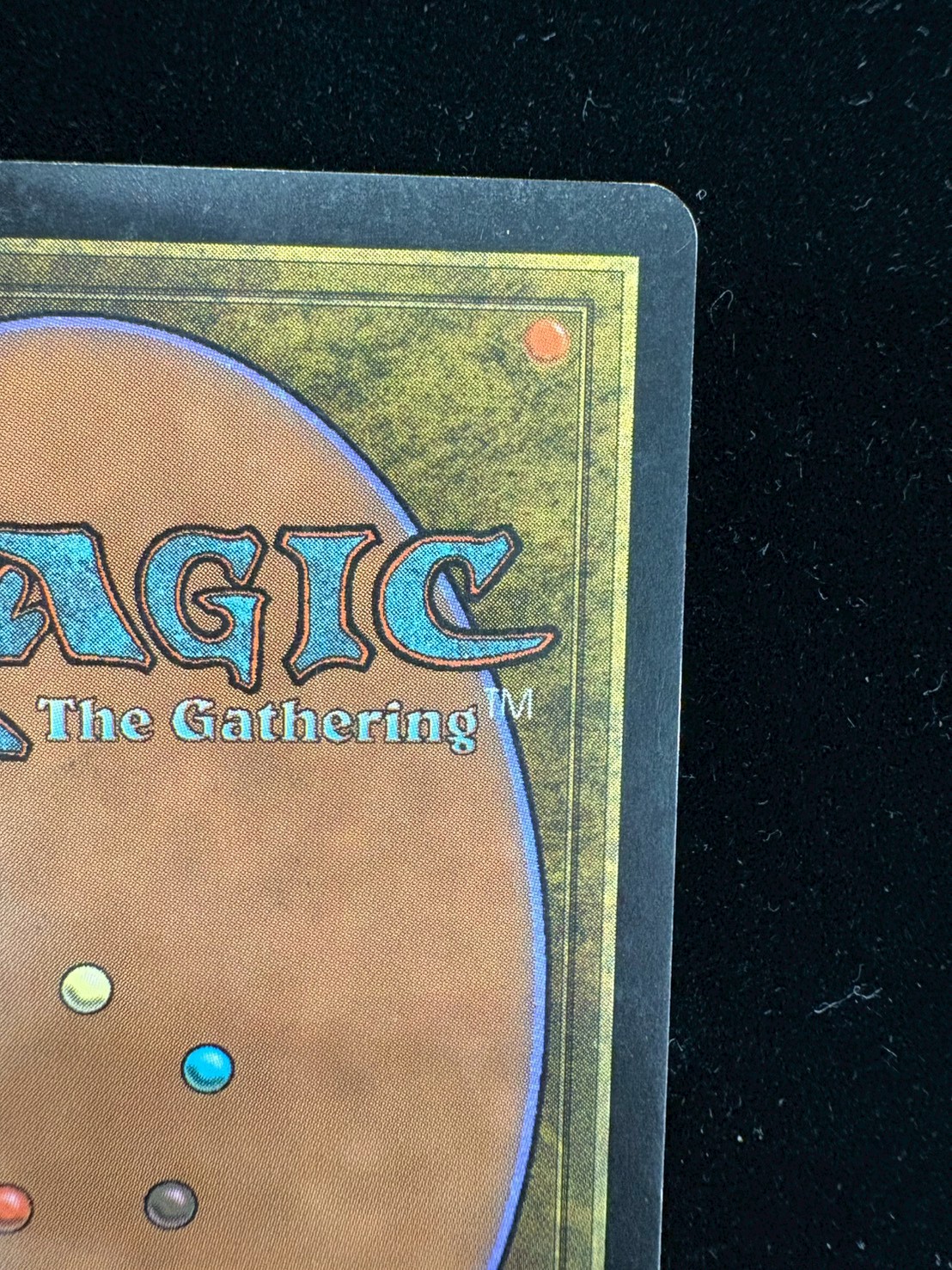 [HPLD]森/Forest《英語》【Guru Lands】#301 1枚