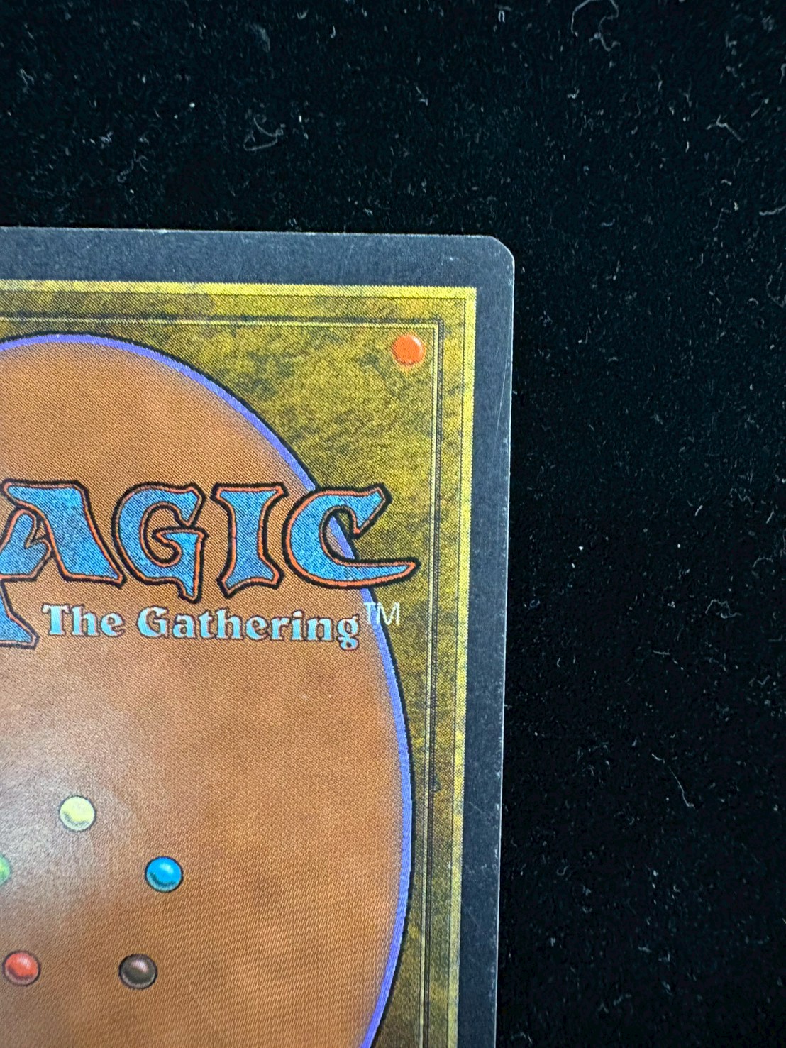 [HPLD]Shahrazad《英語》【ARN】#298 1枚