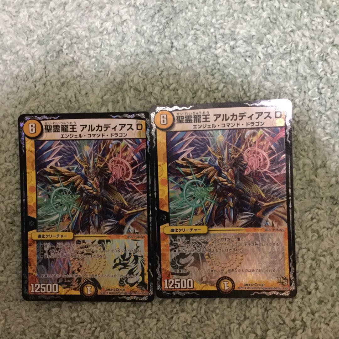 聖霊龍王 アルカディアスD VR