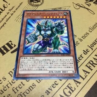 ダイナレスラー・パンクラトプス【N】