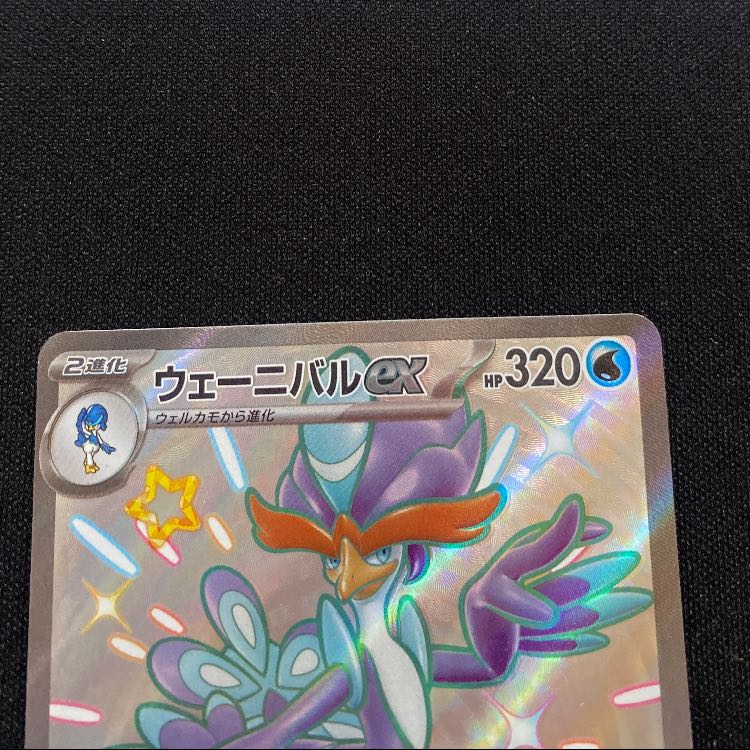 ウェーニバルex SSR 325/190 1枚