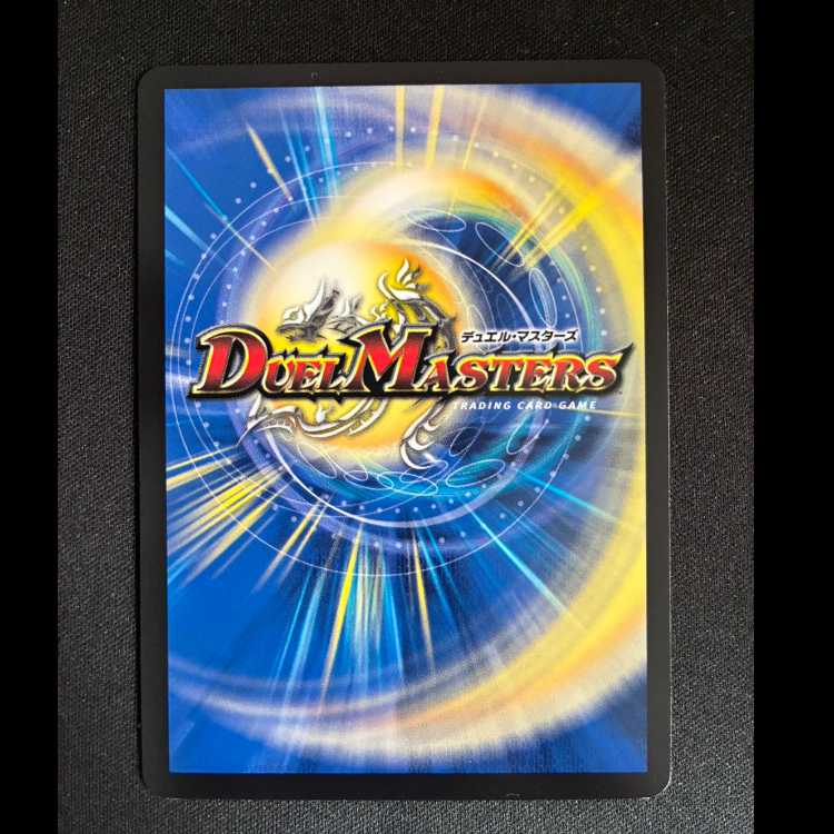 ＃ピザスターのアンティハムト R 51/89 1枚