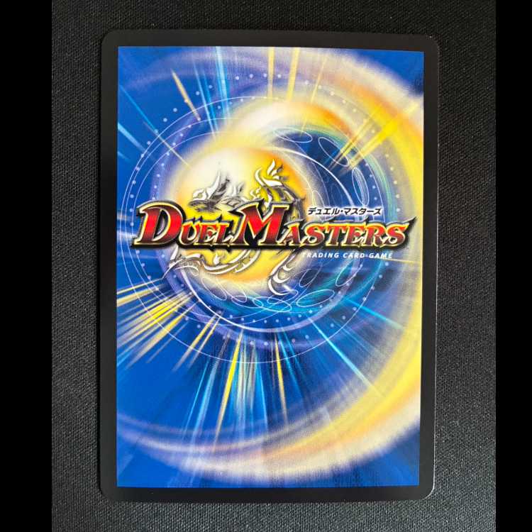 ＃ピザスターのアンティハムト R　25EX2 超38/超50 1枚