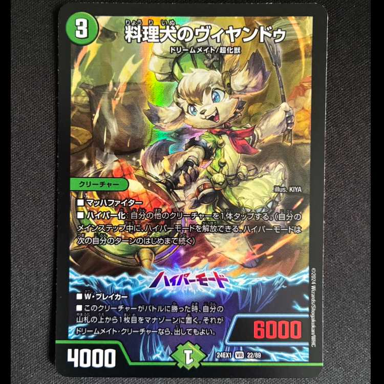 ＃料理犬のヴィヤンドゥ VR 22/89 1枚