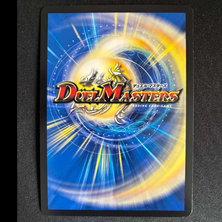 ＃料理犬のヴィヤンドゥ VR 22/89 1枚