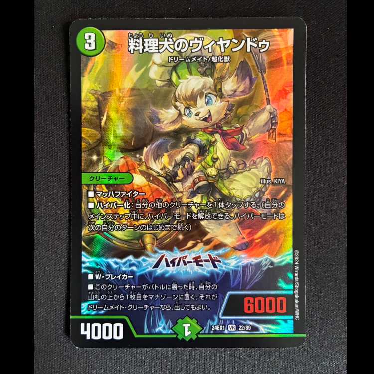 ＃料理犬のヴィヤンドゥ VR 22/89 1枚