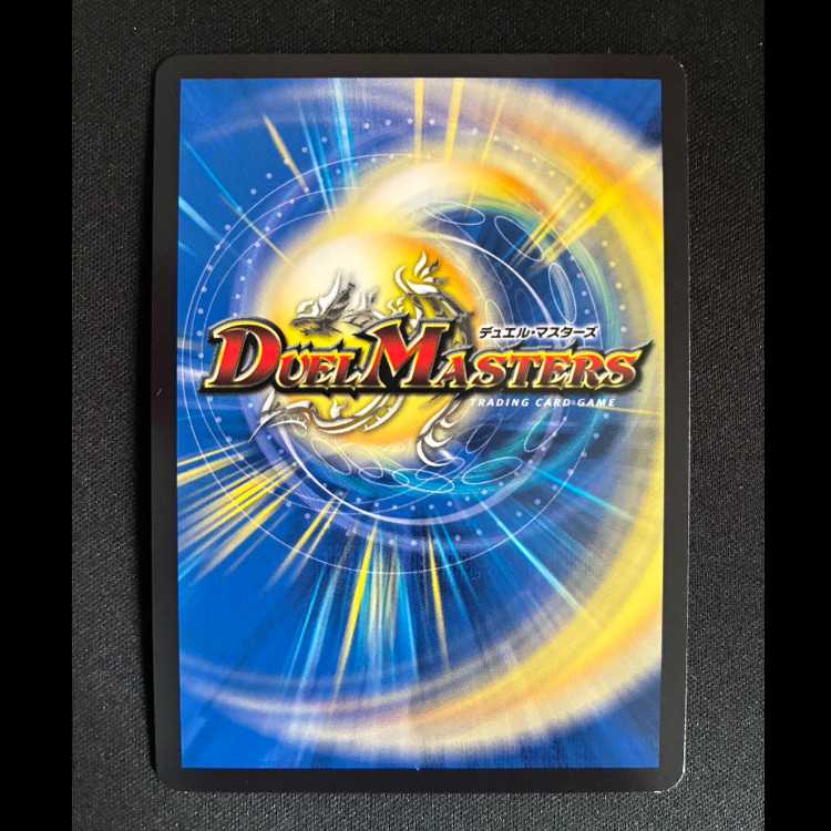 ＃料理犬のヴィヤンドゥ VR 22/89 1枚