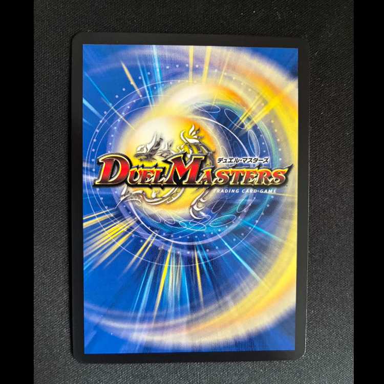 ＃R.S.F.K.｜オールイン・チャージャー VR 8/14 1枚