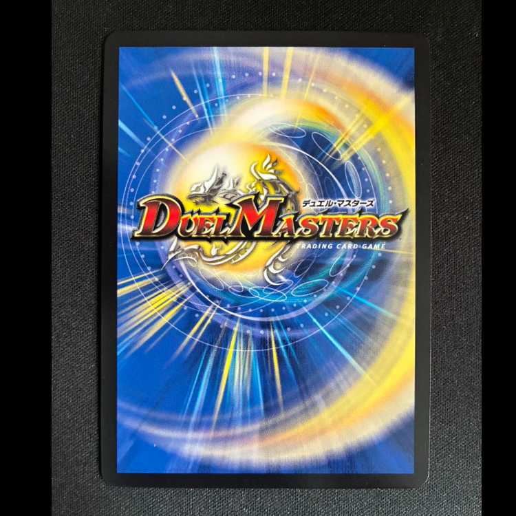 ＃R.S.F.K.｜オールイン・チャージャー VR 8/14 1枚