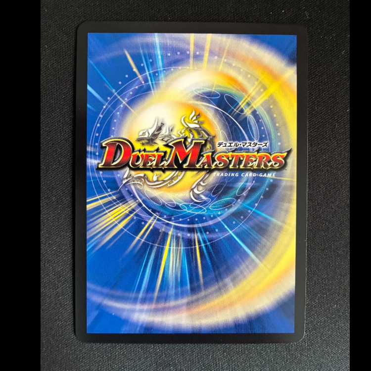 ＃R.S.F.K.｜オールイン・チャージャー VR 8/14 1枚