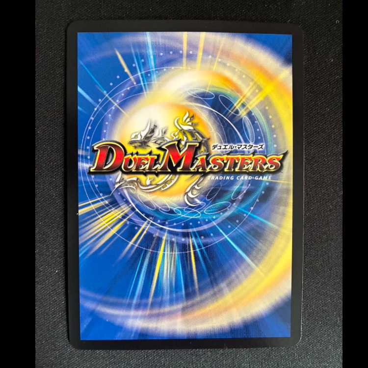 ＃R.S.F.K.｜オールイン・チャージャー VR 8/14 1枚